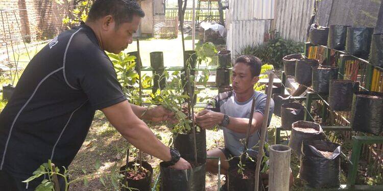 Anggota Makodim 0812 Lamongan, Kembangkan Tanaman Hidroponik