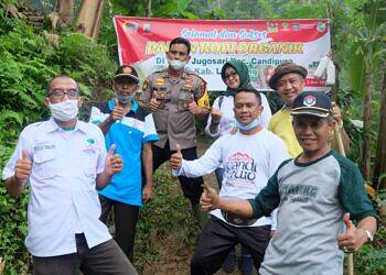 Panen Raya Kopi, Pengalaman Pertama Kapolres Lumajang Memetik Kopi