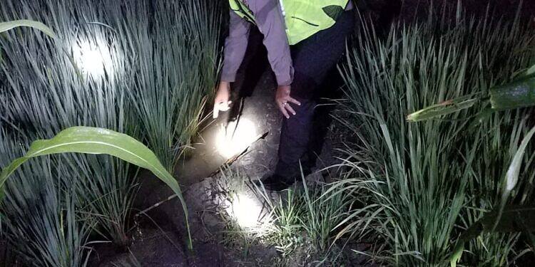 Petani Tewas Tersengat Listrik dari Jebakan Tikus