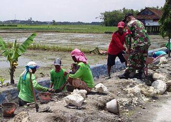Gotong Royong Bersama Warga, Bentuk Kepedulian Babinsa kepada Desa Binaan
