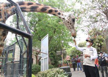 Pakai Aplikasi PeduliLindungi, Wisata Mazoola Siap Buka