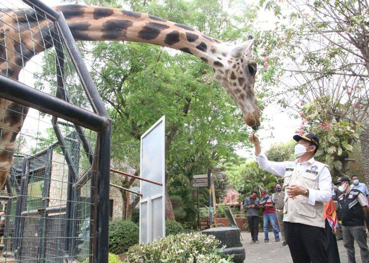 Pakai Aplikasi PeduliLindungi, Wisata Mazoola Siap Buka