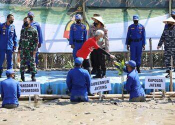 Ganjar Pranowo Ikut Tanam Mangrove Untuk Selamatkan Lingkungan Hidup
