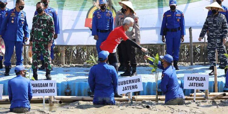 Ganjar Pranowo Ikut Tanam Mangrove Untuk Selamatkan Lingkungan Hidup