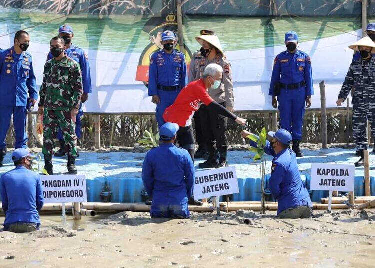 Ganjar Pranowo Ikut Tanam Mangrove Untuk Selamatkan Lingkungan Hidup