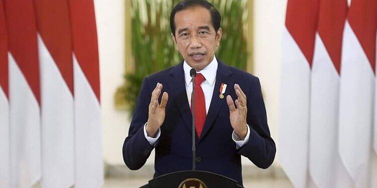 Presiden Jokowi Ingatkan Peran Sentral Pemuda sebagai Pemimpin Perubahan