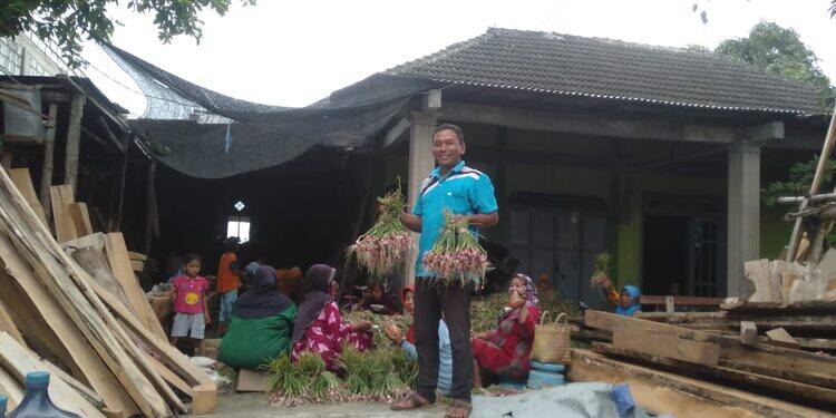 Emak-emak Beserta Warga Desa Manyar Kecamatan Sekaran Lamongan, Gembira Bisa Merasakan Hasil Panin Bawang Merah Milik Pak Kades Puji