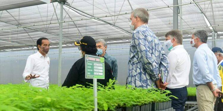 Ajak Dubes Negara Sahabat, Presiden Jokowi Tinjau Persemaian Rumpin