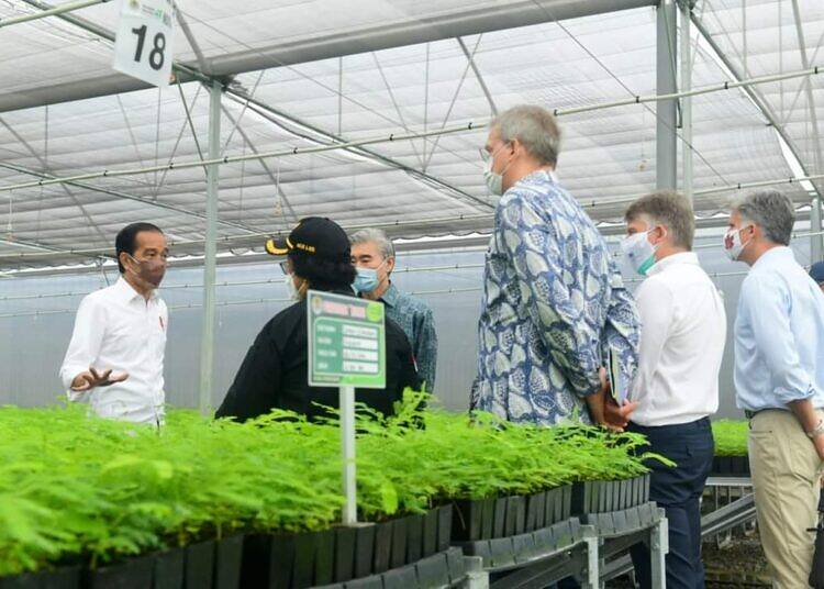 Ajak Dubes Negara Sahabat, Presiden Jokowi Tinjau Persemaian Rumpin