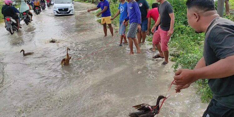 Angon Bebek di Jalan, Inilah Bentuk Protes Pemuda Lamongan atas Banjir Tahunan