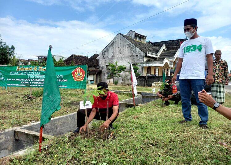 Peringati Harlah NU ke 99, Ansor Banser Sugio Peduli Lingkungan