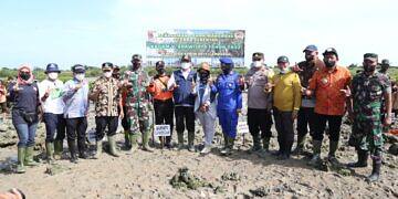 Kodim 0812/Lamongan Tanam Mangrove Serentak dan Vidcon Tersebar Dijajaran Kodam V/Brawijaya