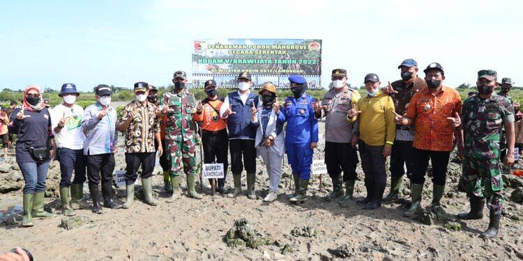 Kodim 0812/Lamongan Tanam Mangrove Serentak dan Vidcon Tersebar Dijajaran Kodam V/Brawijaya