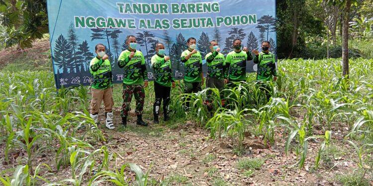 Lestarikan Hutan, Dandim 0812 Lamongan Bersama Forkopimda Geber Aksi Tanam Pohon