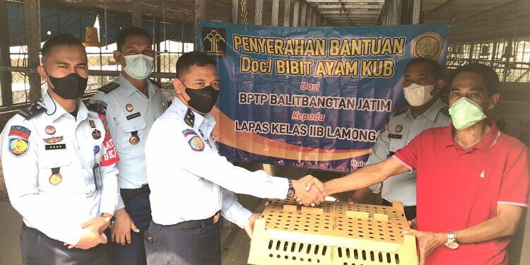 Terima Bibit Ayam KUB dari BPTP Jawa Timur, Warga Binaan Lapas Lamongan Siap Menjadi Peternak Ayam