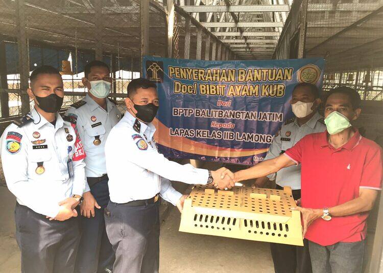 Terima Bibit Ayam KUB dari BPTP Jawa Timur, Warga Binaan Lapas Lamongan Siap Menjadi Peternak Ayam