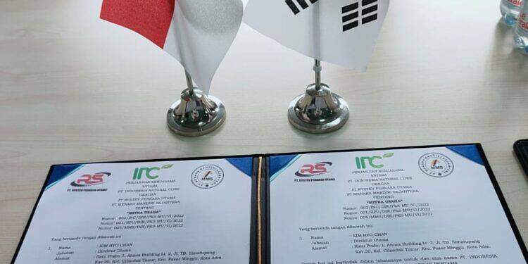 Lembaga Peduli Nusantara (LPN) Jalin MoU Kemitraan dengan Korea