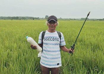 Sentra Pertanian Organik di Desa Sumurgenuk Babat Kabupaten Lamongan, Menerapkan Sejak Tahun 80an.