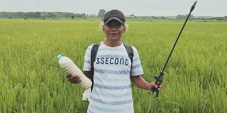 Sentra Pertanian Organik di Desa Sumurgenuk Babat Kabupaten Lamongan, Menerapkan Sejak Tahun 80an.