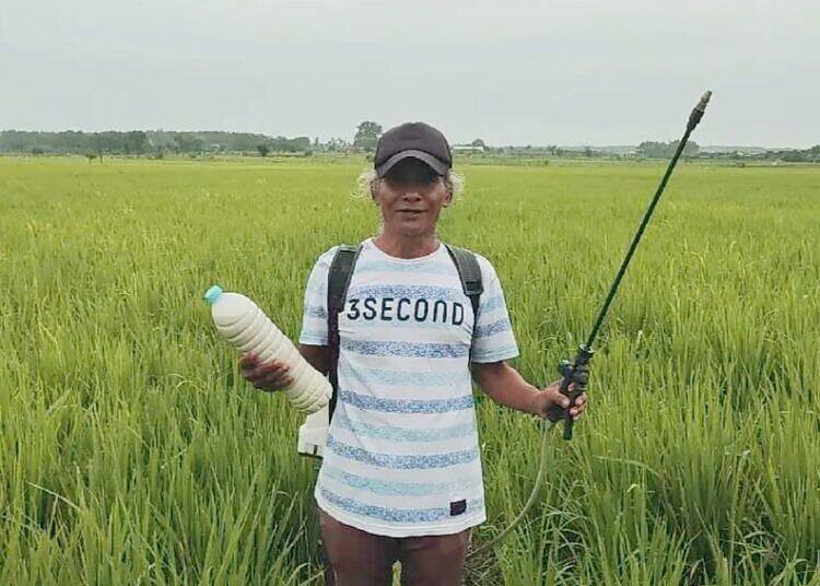 Sentra Pertanian Organik di Desa Sumurgenuk Babat Kabupaten Lamongan, Menerapkan Sejak Tahun 80an.