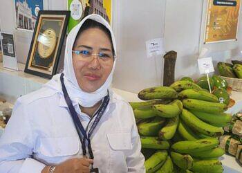 Antisipasi Krisis Pangan Akibat El Nino, Pemerintah Perkuat Ketahanan Pangan Lewat KUR untuk Petani.