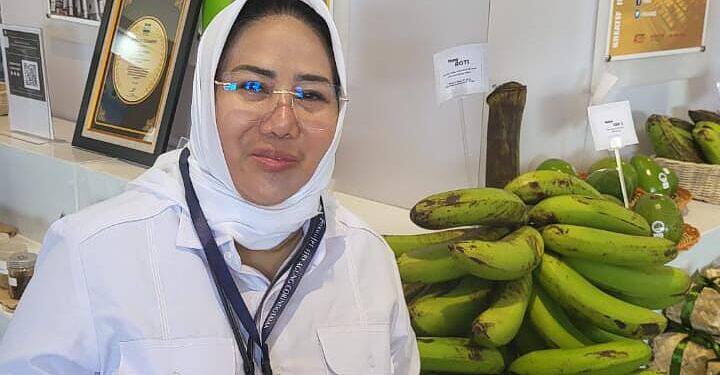 Antisipasi Krisis Pangan Akibat El Nino, Pemerintah Perkuat Ketahanan Pangan Lewat KUR untuk Petani.