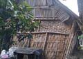 Miris!! Tinggal di Rumah Nyaris Roboh, Potret Kemiskinan di Kabupaten Lamongan.