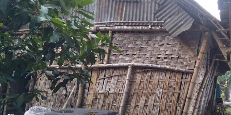 Miris!! Tinggal di Rumah Nyaris Roboh, Potret Kemiskinan di Kabupaten Lamongan.