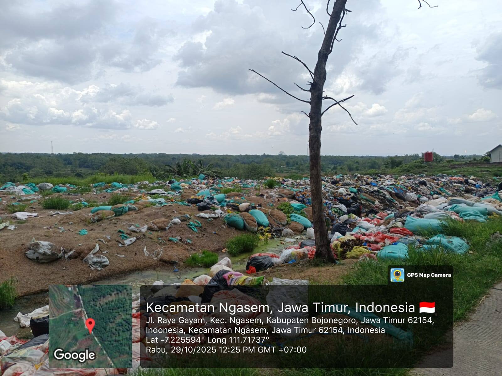 Dua Tahun Beroperasi, Limbah Kandang Ayam di Bandungrejo Bojonegoro Picu Keluhan Warga
