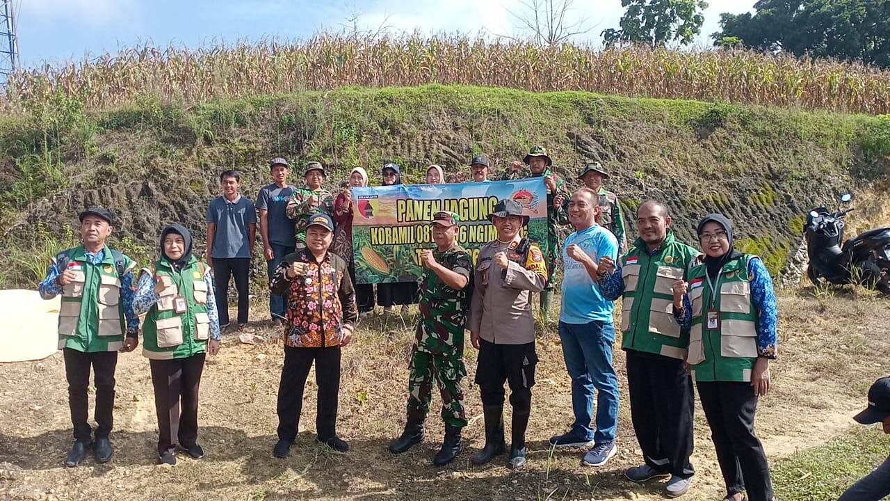 Koramil 0812/06 Ngimbang Bersama Muspika dan Petani Gelar Panen Raya Jagung di Desa Kakat Penjalin