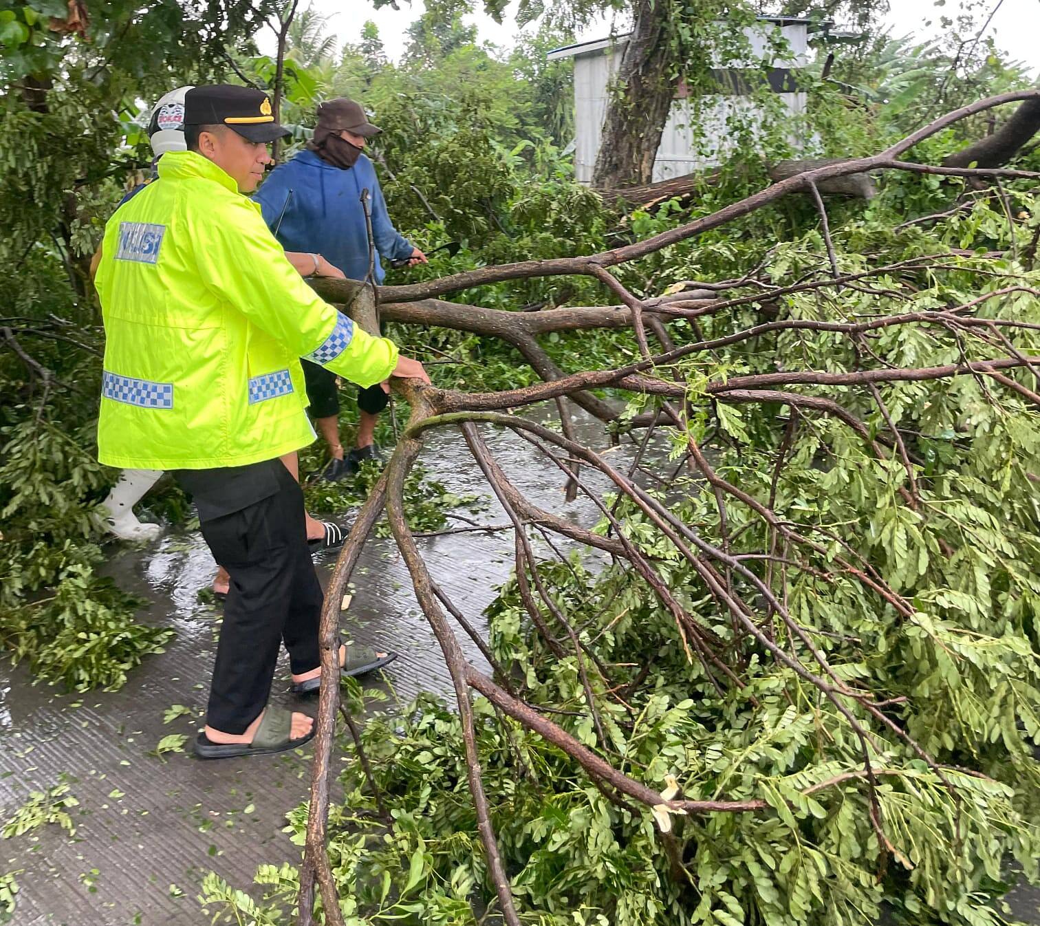 Polres Lamongan Hadir untuk Masyarakat, Respon Cepat 110 Pohon Tumbang hingga Evakuasi Dampak Puting Beliung