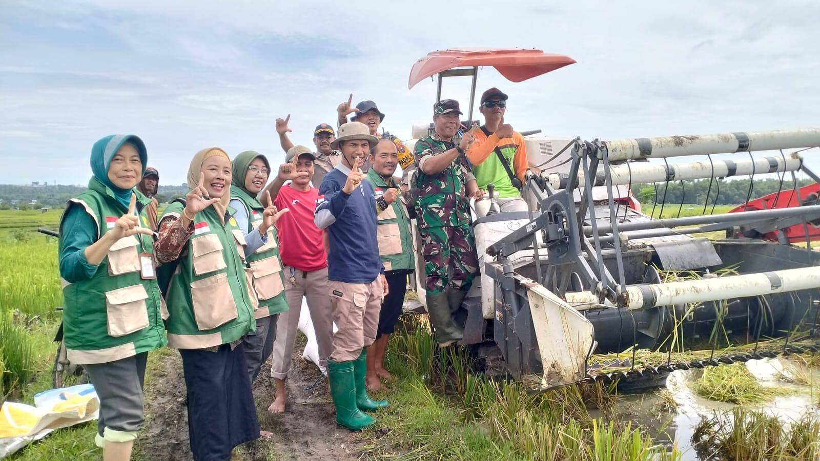 Dukung Ketahanan Pangan, Danramil 0812/06 Ngimbang Pimpin Panen Raya Padi di Desa Munungrejo