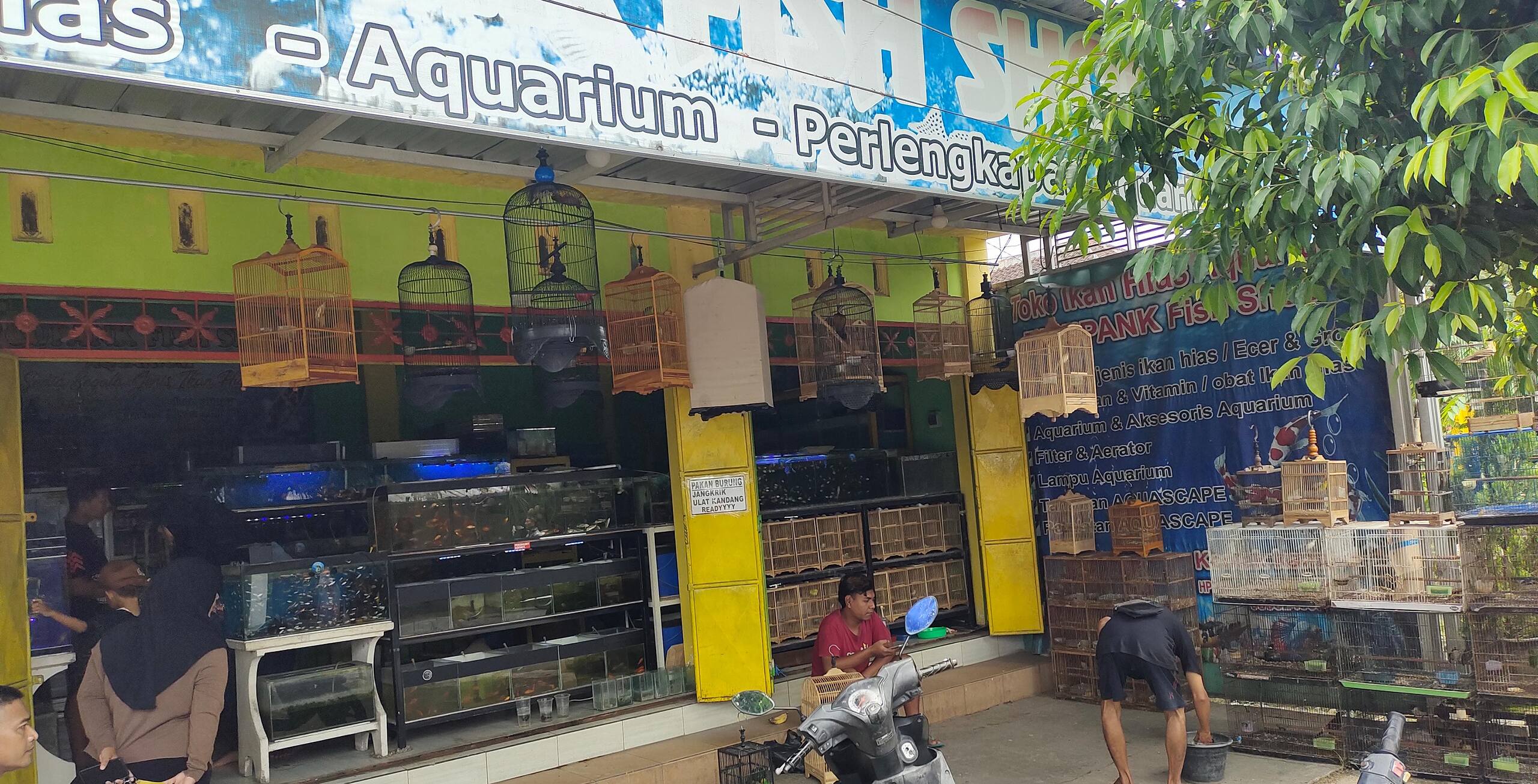 Dari Hobi Jadi Rezeki Kisah Sukses Mas Dedi, Juragan Burung dan Ikan Hias Bojonegoro.