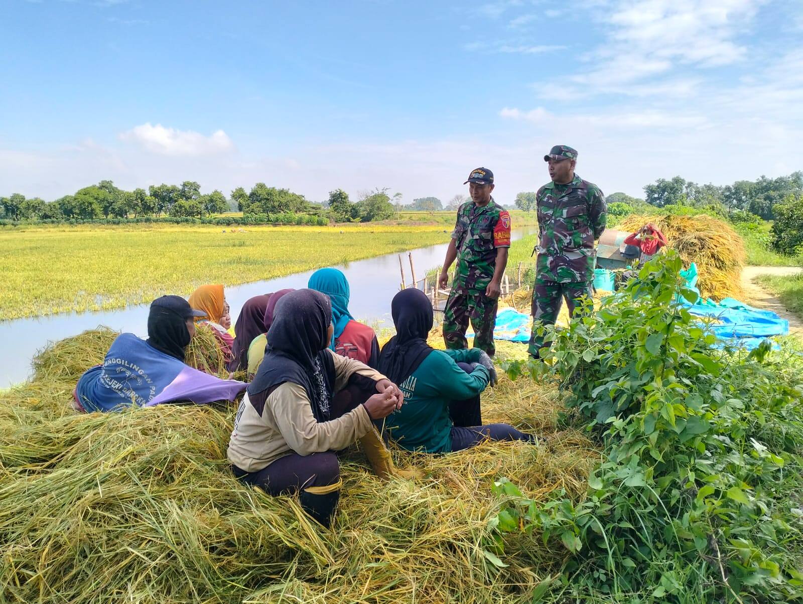 Perkuat Ketahanan Pangan, Babinsa Koramil 0812/25 Sarirejo Terjun Langsung Dampingi Petani di Gempoltukmloko