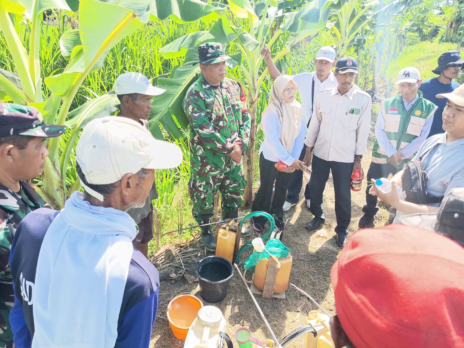Jaga Panen Petani, Babinsa Karangbinangun Turun Sawah Bersama GERDAL di Banjarejo