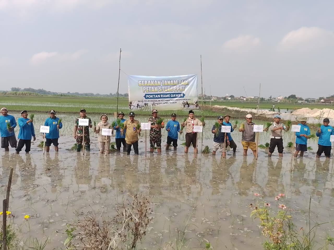 Batuud Koramil 0812/15 Perkuat Sinergi Lewat Gerakan Tanam Padi
