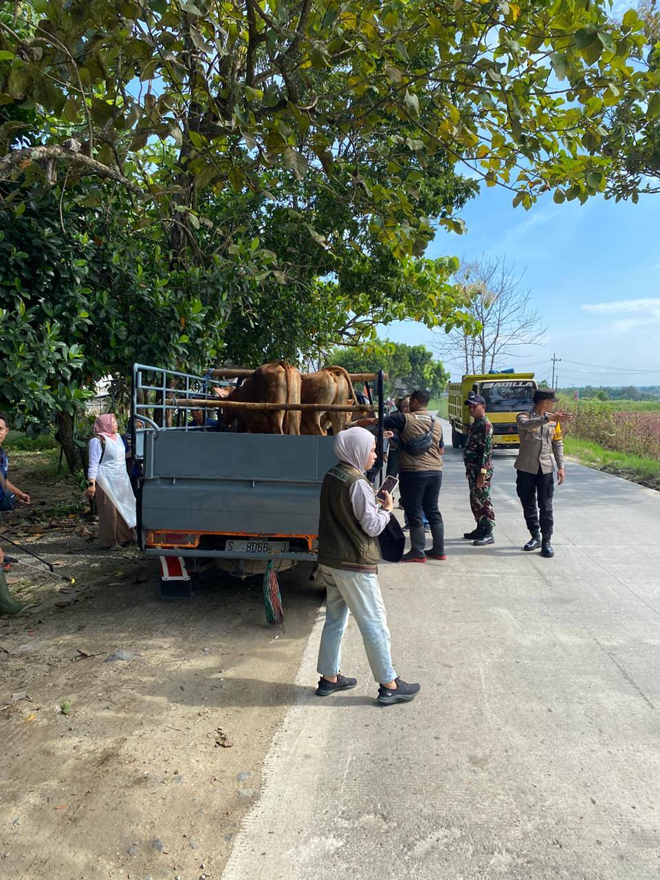 Waspadai Penyakit Hewan, Babinsa dan Dinas Peternakan Sidak Hewan Kurban di Ngimbang