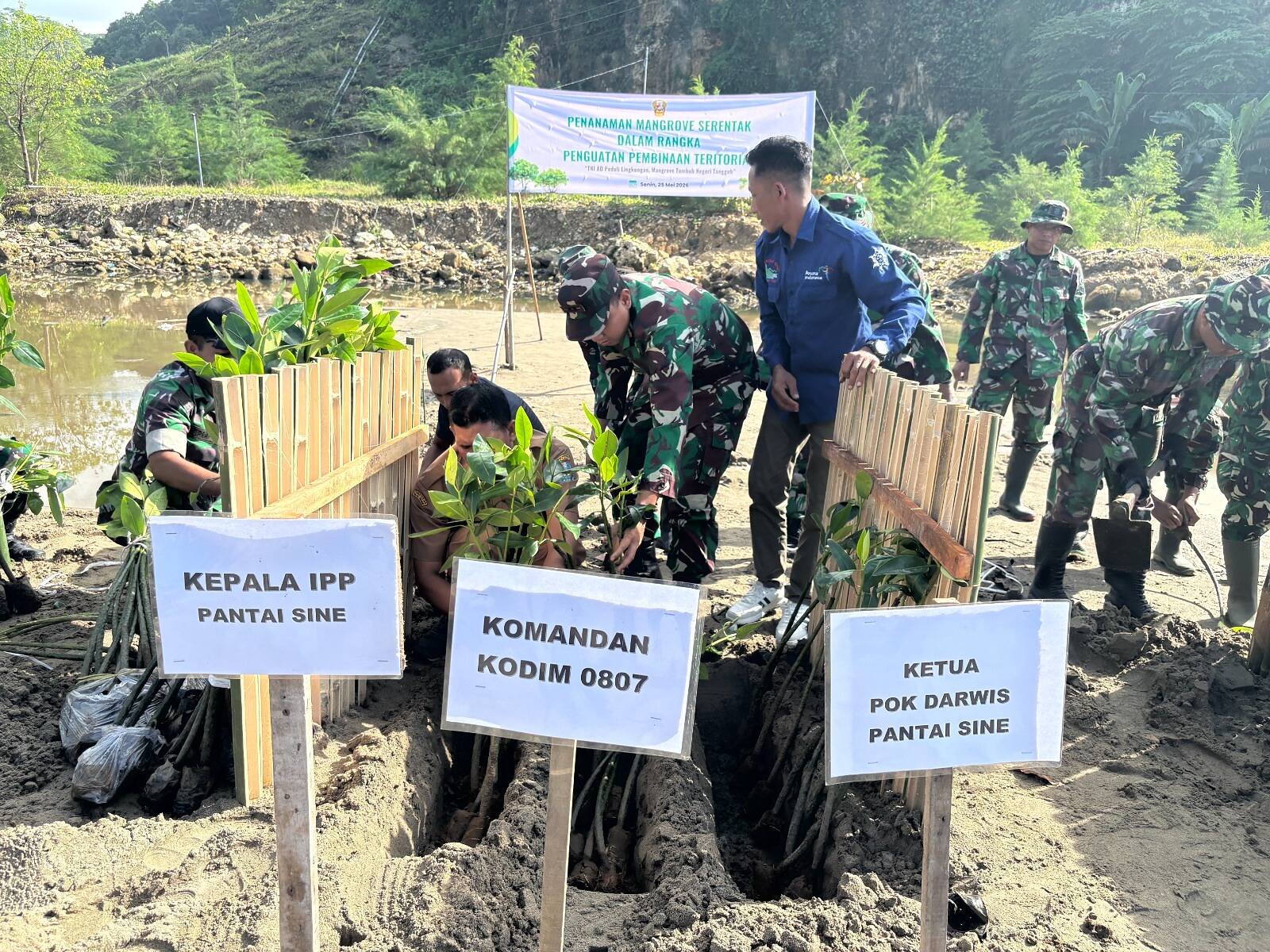 Peduli Lingkungan, Dandim Tulungagung Pimpin Aksi Tanam Mangrove di Cemoro Sewu