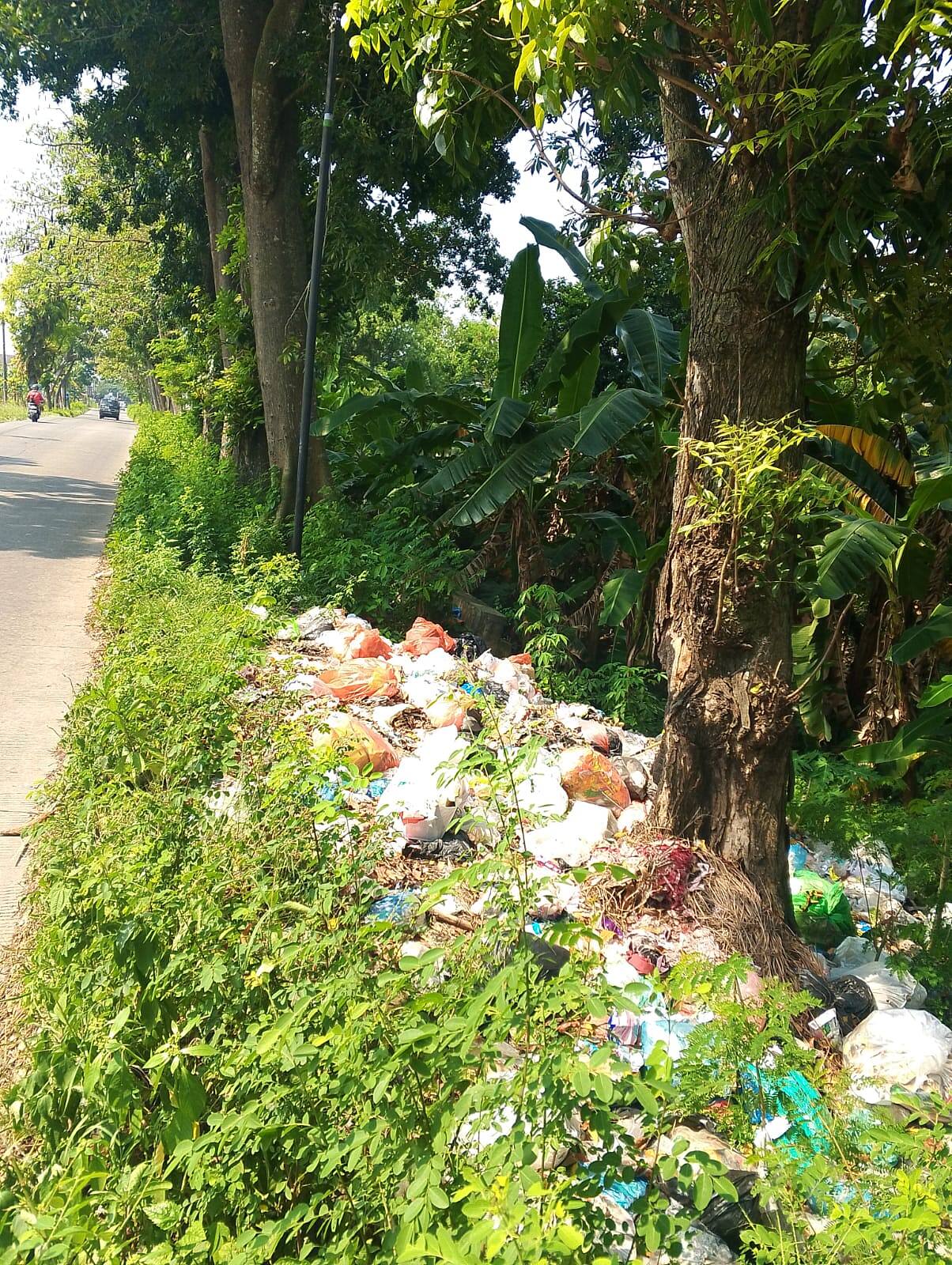 Tumpukan Sampah di Pinggir Jalan Raya Sugio Kian Meresahkan, Warga Desak Tindakan Nyata