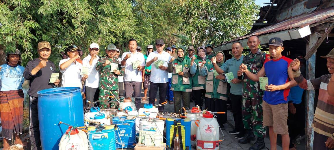 TNI dan Penyuluh Bersinergi, Kodim 0812/Lamongan Gencarkan Pengendalian Wereng Batang Coklat