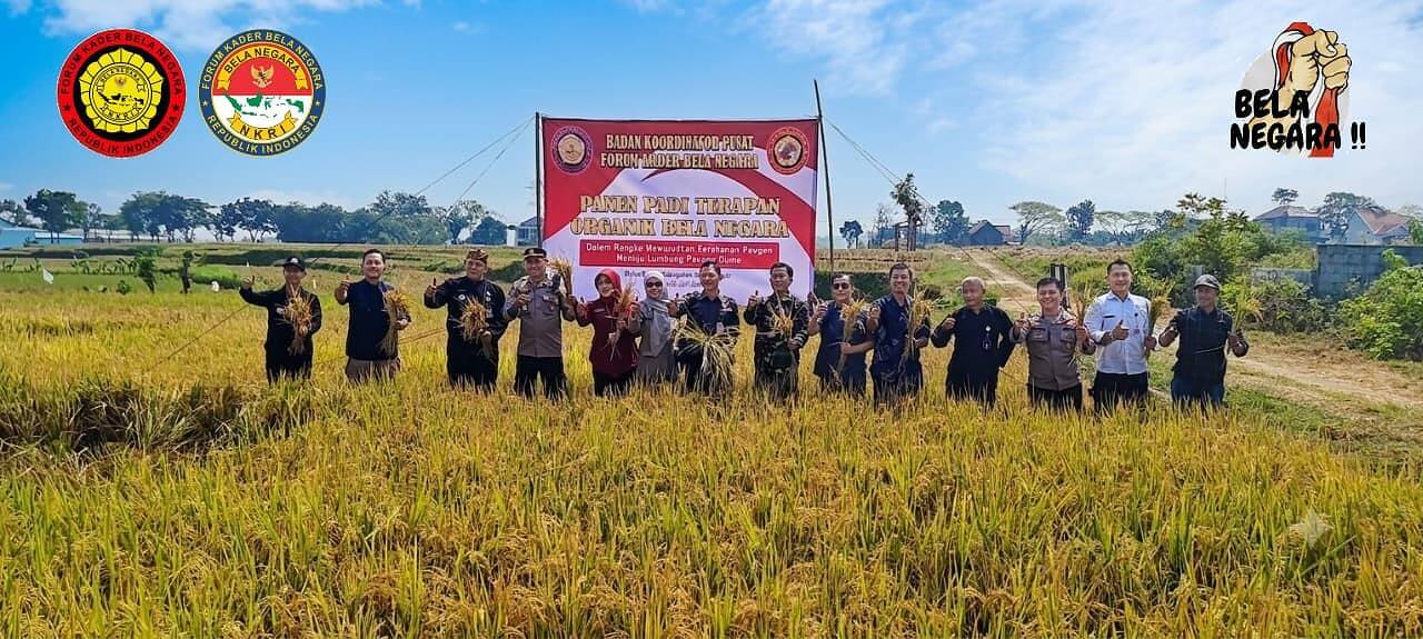 Demplot Organik Bela Negara di Karanganyar Ungguli Sistem Full Kimia