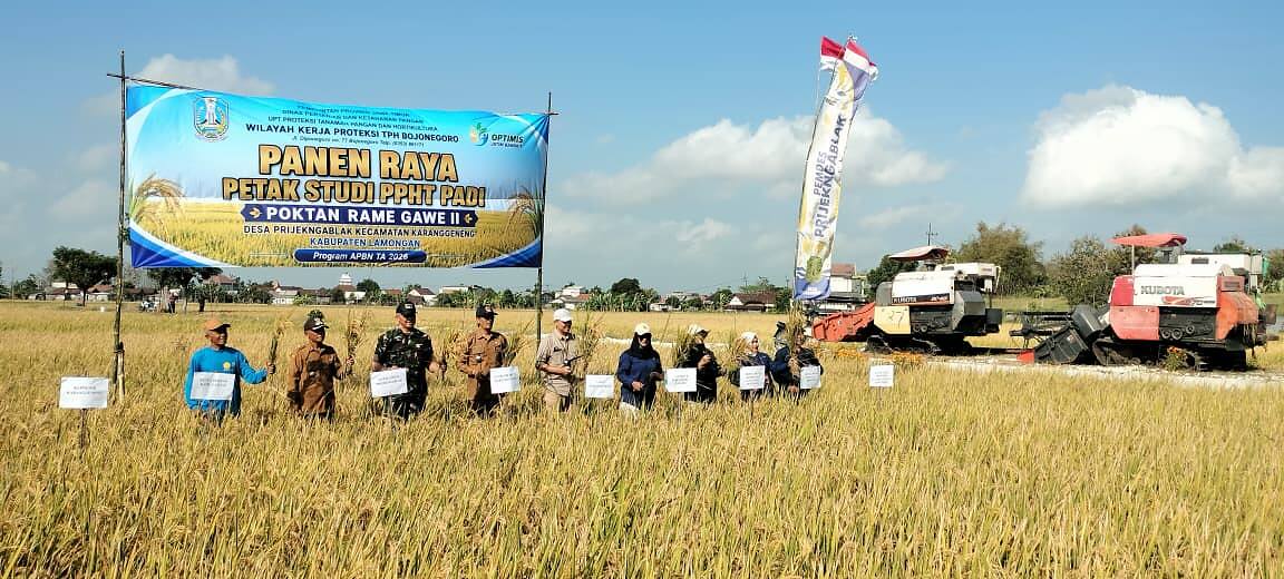 Koramil Karanggeneng Perkuat Ketahanan Pangan Melalui Panen Raya
