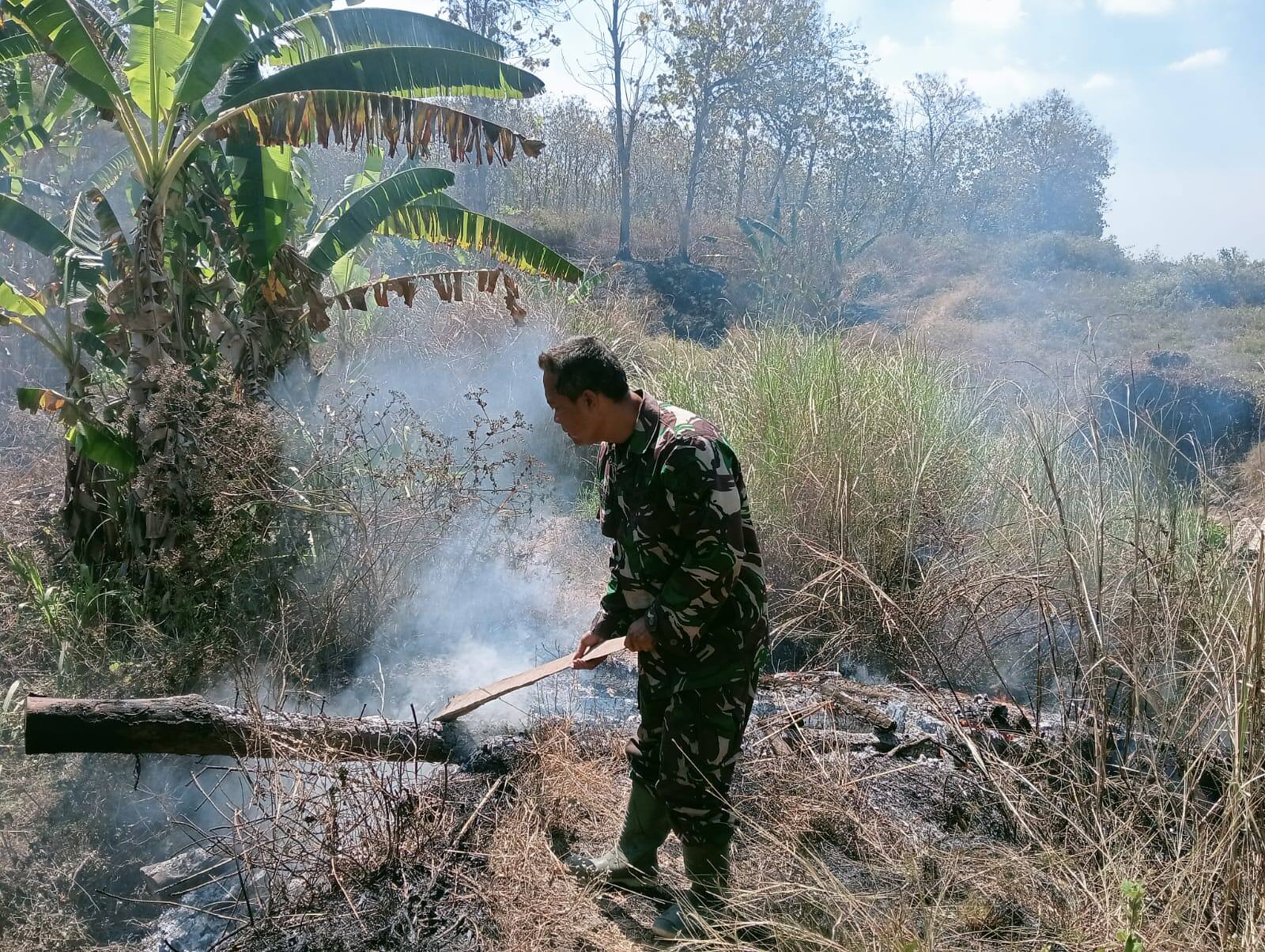 Babinsa 0812/19 Laren Berjibaku Padamkan Kebakaran Lahan di Gampangsejati