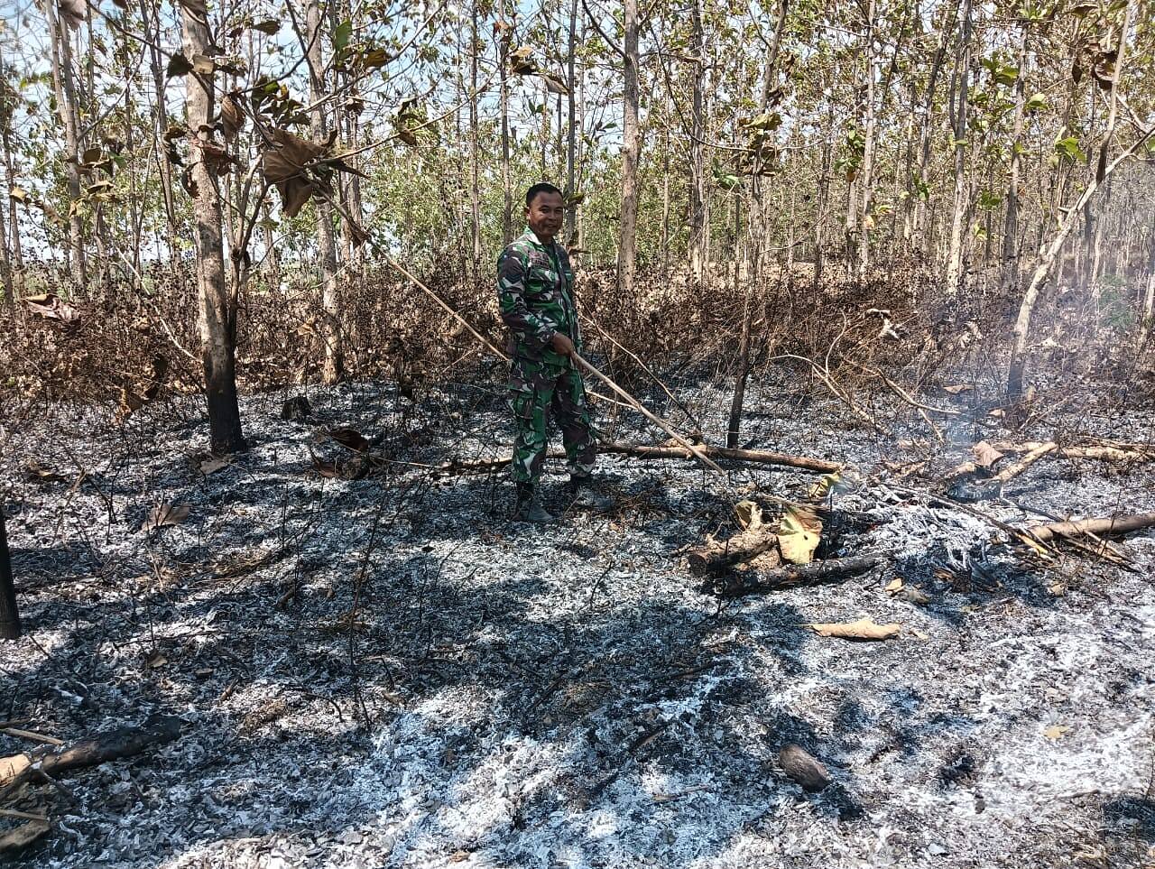 Cegah Api Meluas, Babinsa 0812/08 Sambeng Padamkan Kebakaran Lahan