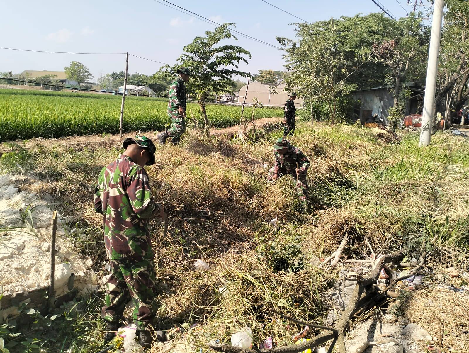 Perkuat Produksi, Kodim 0812/Lamongan Maksimalkan Kompi Jotosanur