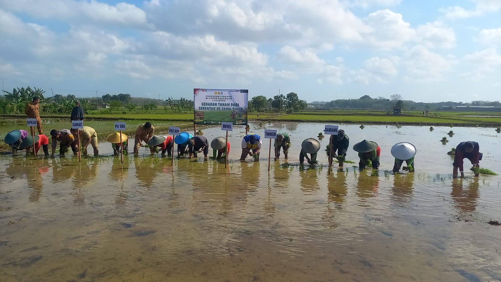 Dukung Ketahanan Pangan, Babinsa 0812/19 Laren Bantu Petani Brangsi