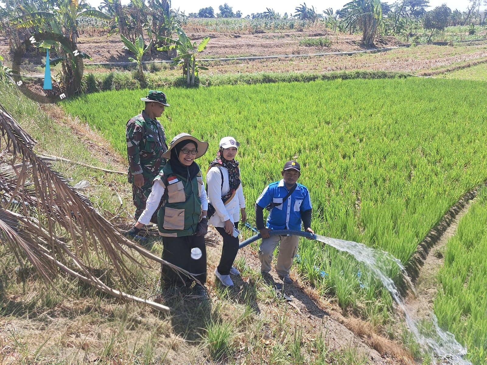 Atasi Kekeringan Sawah, Sertu M. Dawud Dampingi Distribusi 15 Ribu Liter Air untuk Petani Sugio