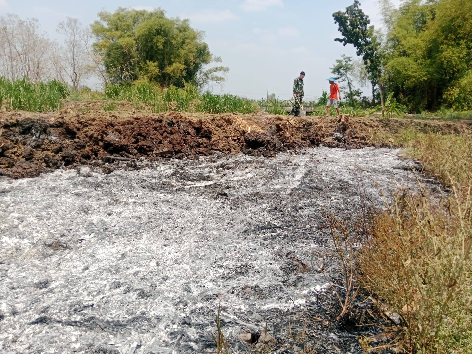 Cegah Karhutla, Babinsa Kodim 0812/Lamongan Padamkan Api dan Edukasi Petani