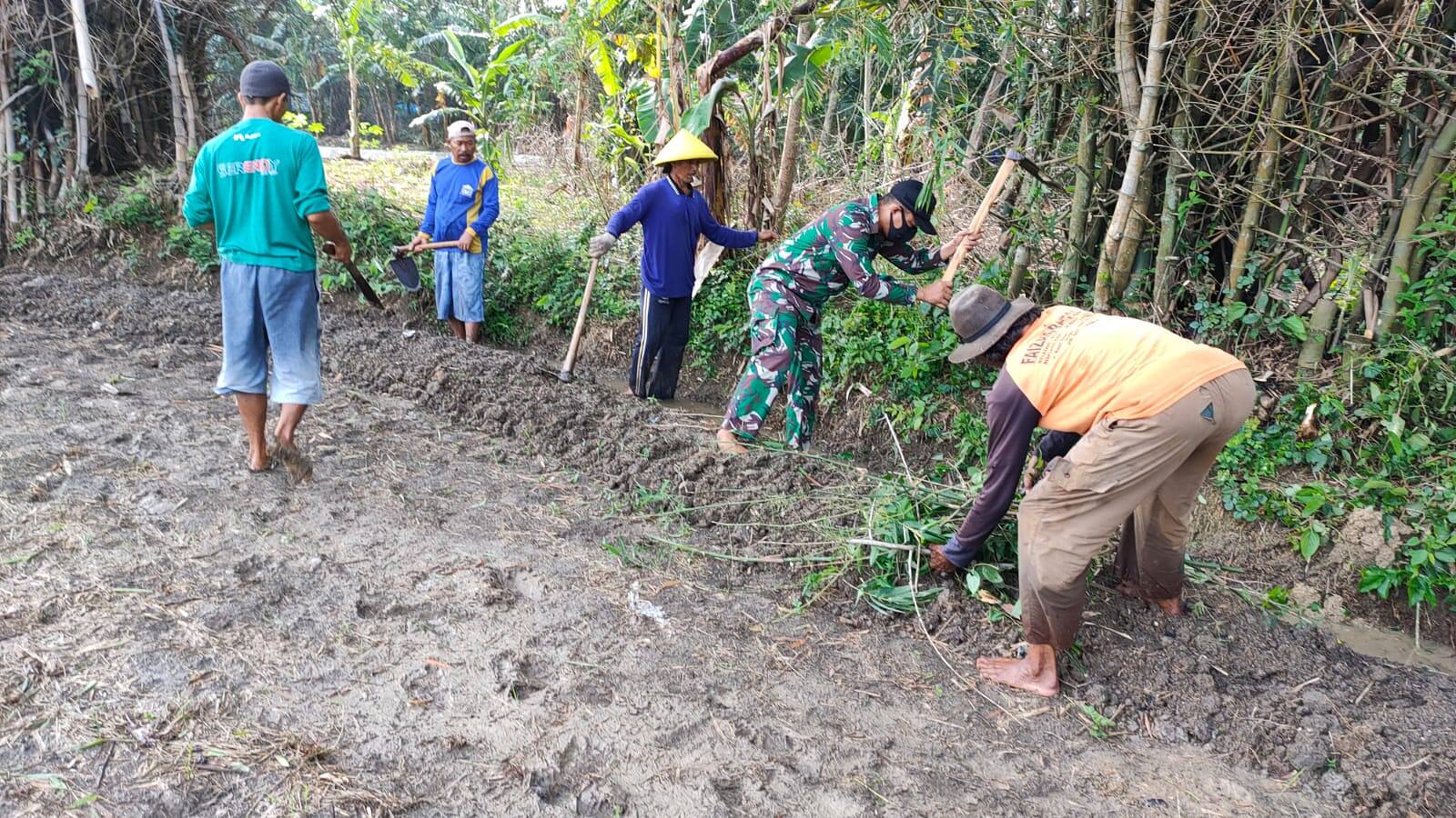 Jaga Kelancaran Irigasi Sawah, Babinsa 0812/11 Sidobangun Bersama Petani Gelar Karya Bakti