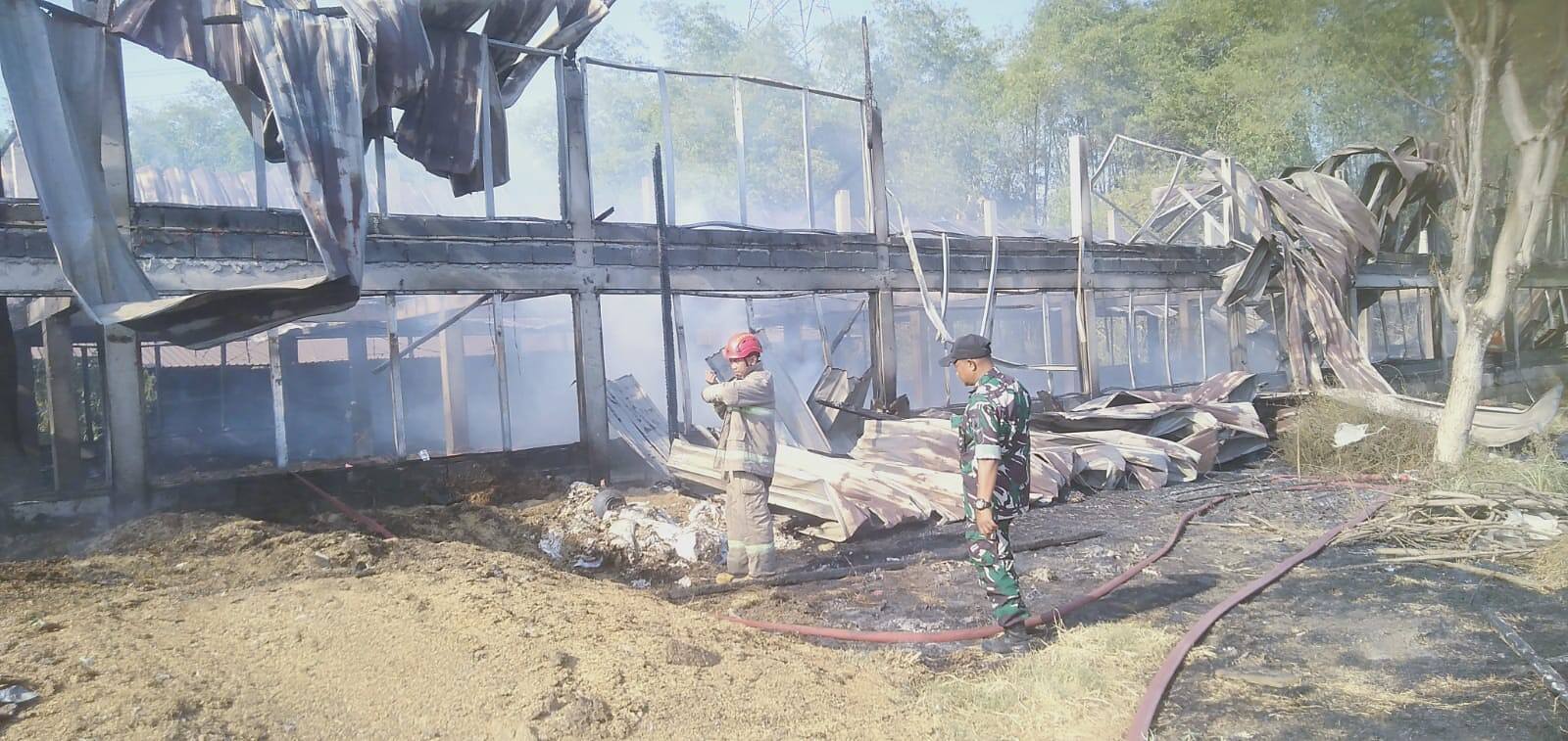 Gerak Cepat Babinsa 0812/09 Mantup Tangani Kebakaran Kandang Ayam di Desa Rumpuk